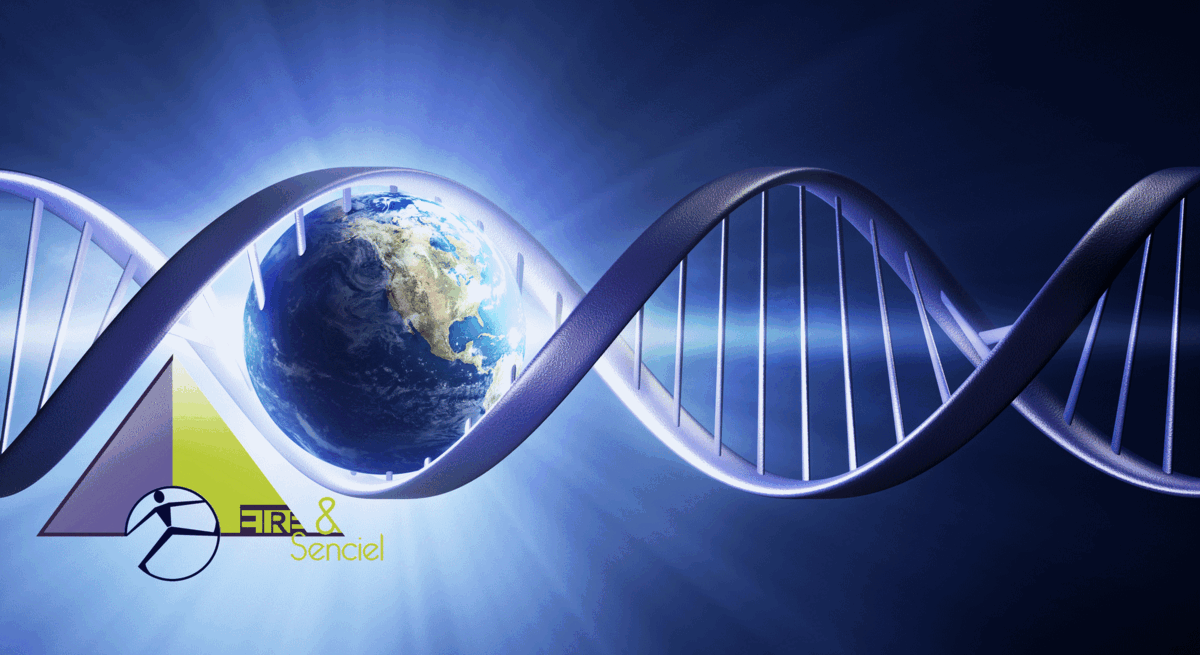 EES-terreadnlogo-1200x655-1